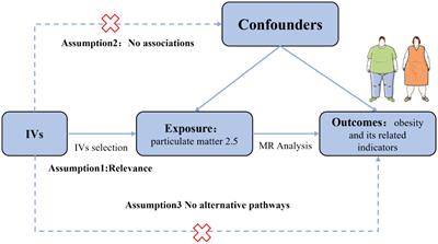 A causal relationship between particulate matter 2.5 and obesity and its related indicators: a Mendelian randomization study of European ancestry